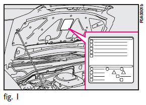 The Fiat code system